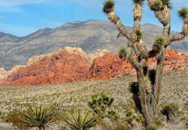 Residence Inn By Marriott Las Vegas Henderson/Green Valley Luaran gambar